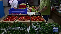 A Day In The Life Of Jerusalem Food Bank