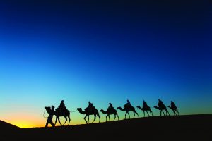 Sillhouette of camel caravan going through the desert at sunset with blue and red sky